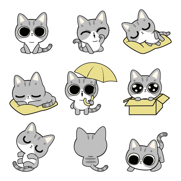 Vector cute cat character