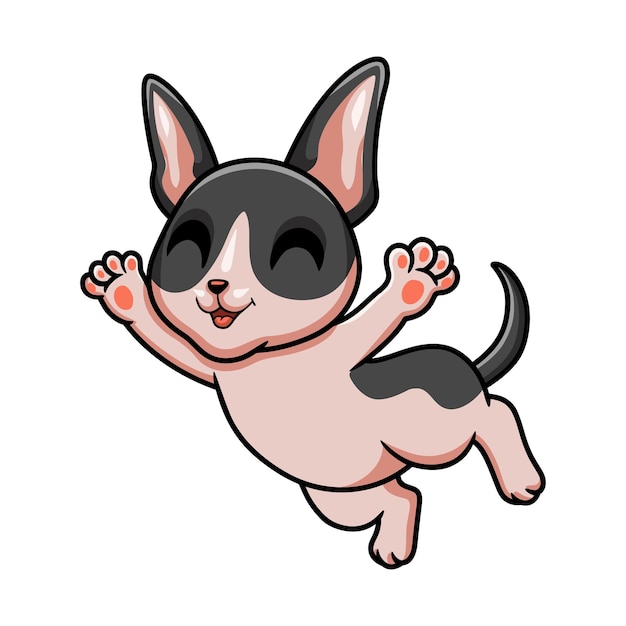 Cute cat cornish rex cartoon