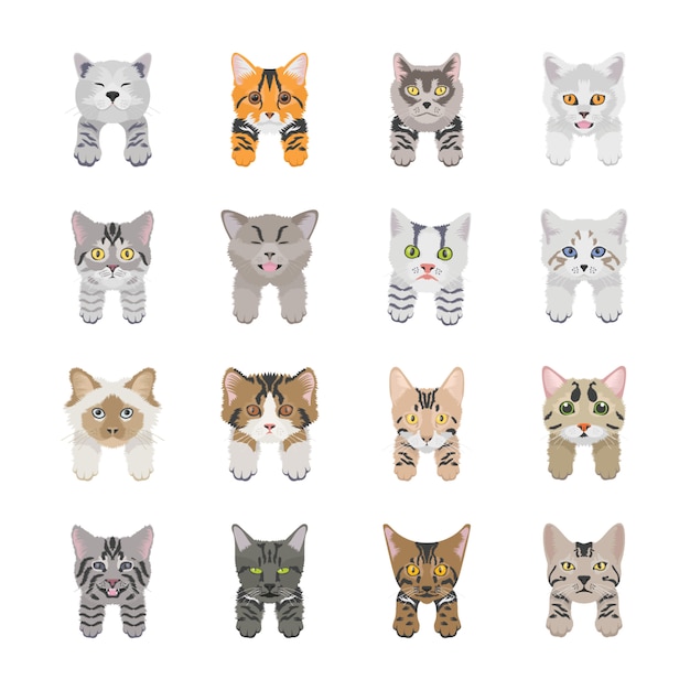 Cute Cat Faces Icons