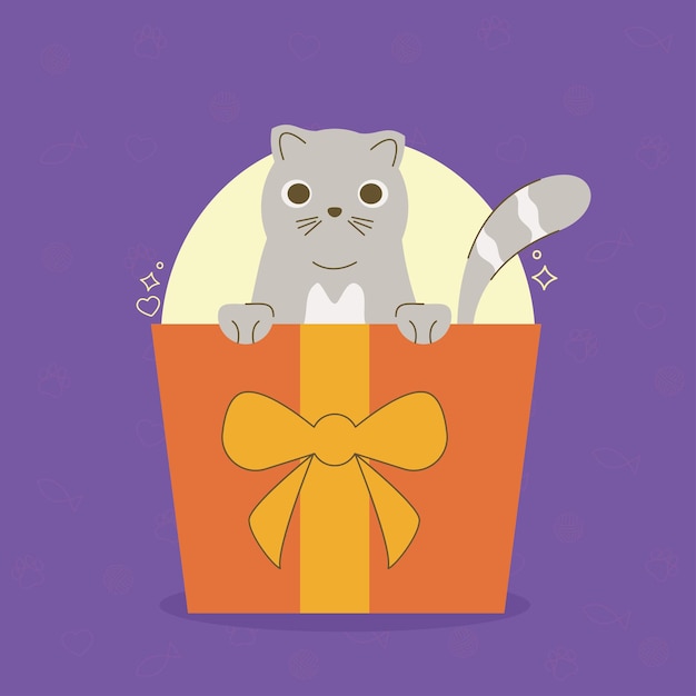 Vector cute cat in gift