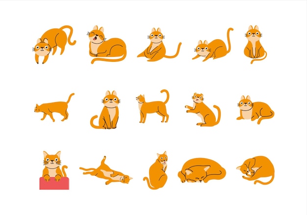 Vettore set di elementi di illustrazione cute cat