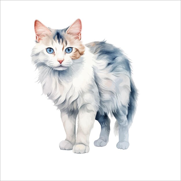 Vector a cute cat illustration with blue eyes