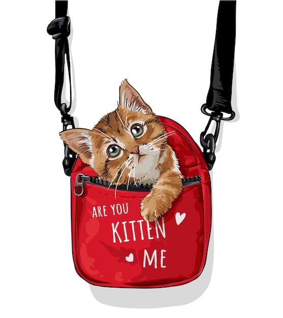 Милый кот в красной сумке для переноски