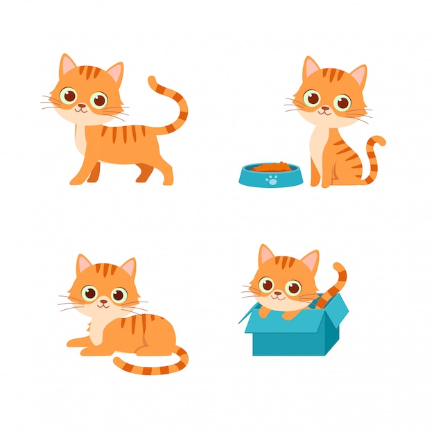 귀여운 고양이 애완 동물 동물 연주 포즈 스타일 세트 번들