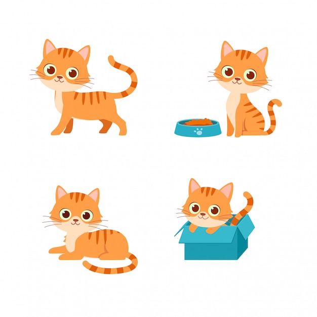 Vector cute cat pet animal playing pose style set bundle