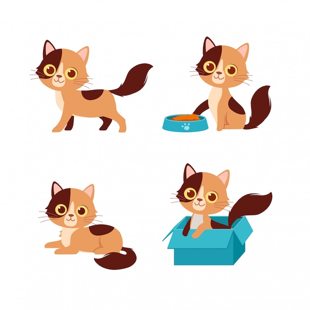 Vector cute cat pet animal playing pose style set bundle