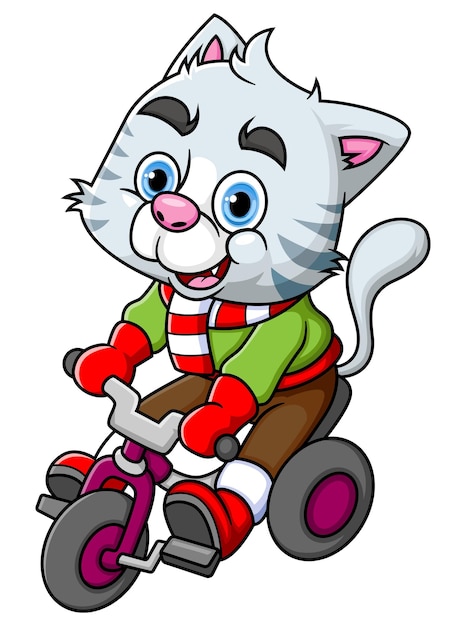 A Cute Cat Riding Bicycle and smiling