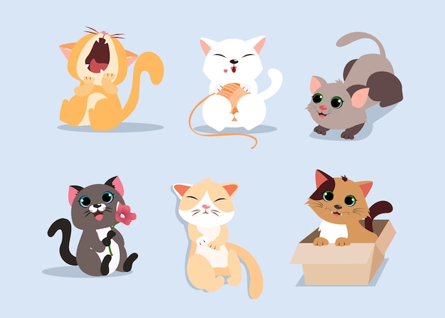 귀여운 고양이 세트 상자에 꽃 고양이와 하품 키티 고양이 장난 꾸러기 고양이