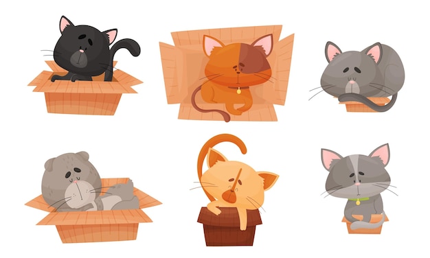 Vector cute cat sitting and sleeping in carton box vector set