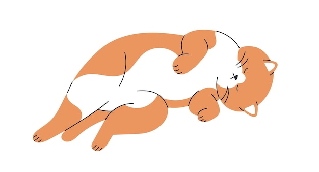 Cute cat sleeping Funny lazy kitty asleep dreaming slumbering Amusing adorable kawaii kitten pet feline animal relaxing resting reposing Flat vector illustration isolated on white background