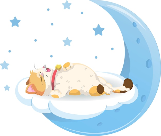 Cute cat sleeping on the moon