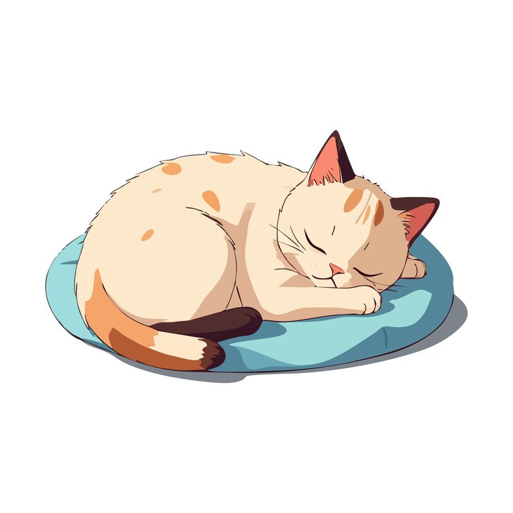 Vector cute cat sleeping vector graphic and illustration