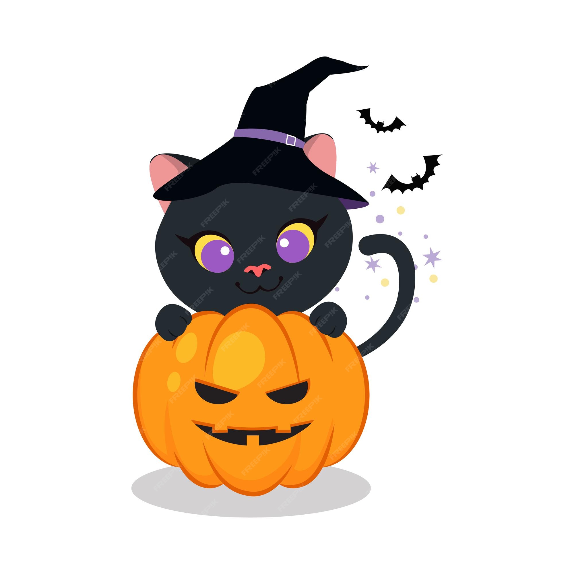 Halloween Cute Cat Profile