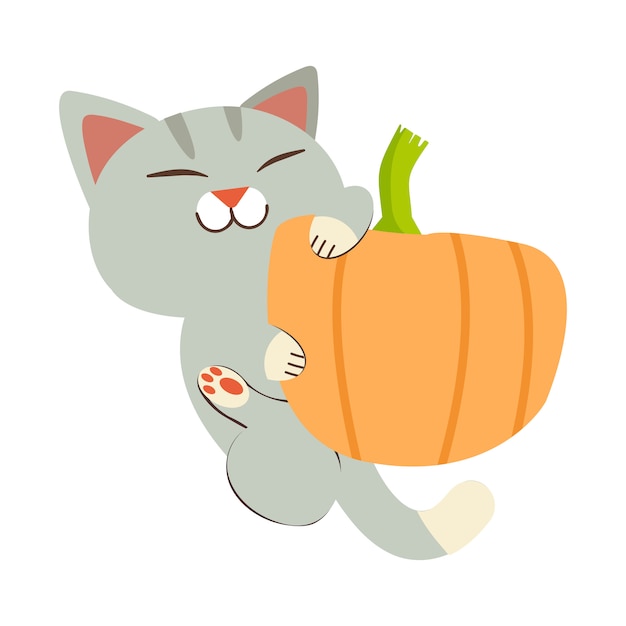 The cute cat with the pumpkin. 