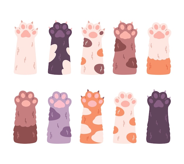 Cute cat039s paws collection Different funny pet paws with claws animals hands