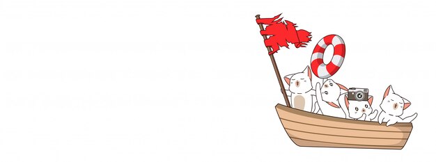 Cute cats on boat in summer day