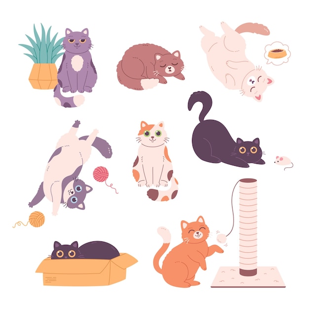 Cute Cats collection Cat sleeping playing sitting Domestic cats feline activity