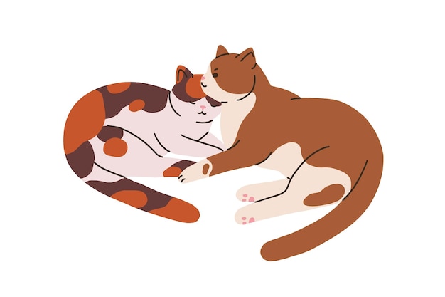 귀여운 고양이 커플 재미있는 고양이 동물 친구들이 함께 누워있는 두 명의 사랑스러운 달한 고양이 사랑과 보살 개념 고양이가 편안하게 잠을 자고 색 배경에 고립 된 평평한 터 일러스트
