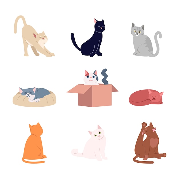 Cute cats flat vector illustrations set. adorable domestic animals, feline friends isolated cartoon characters kit. funny kittens playing, stretching and sleeping. different amusing pets