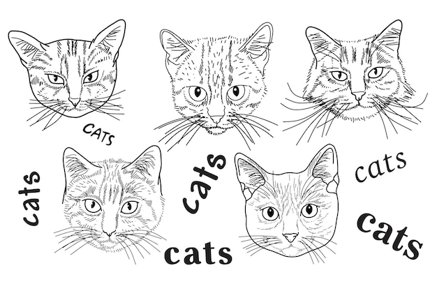 Cute cats hand drawn in the style doodle