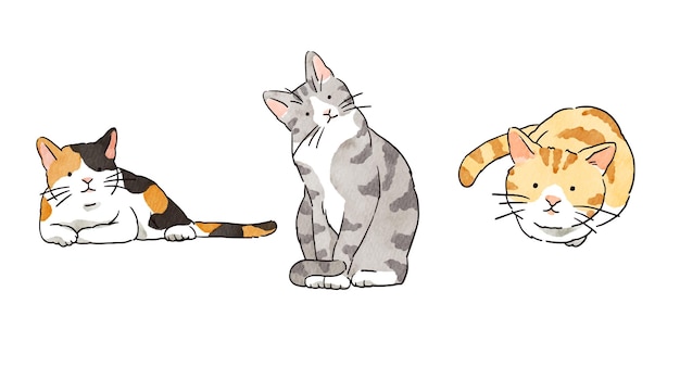 Vector cute cats image