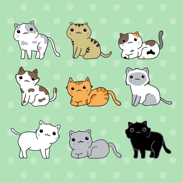 Set di gatti carini