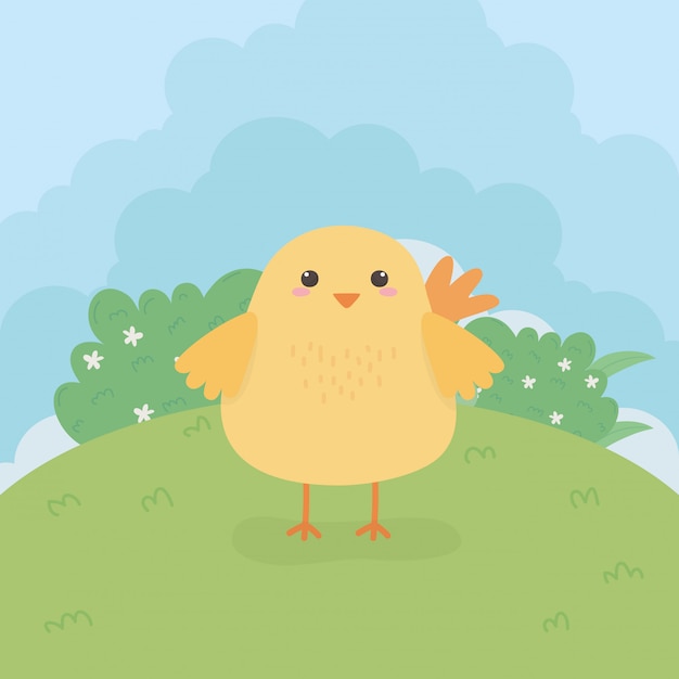 Cute chick animal farm character