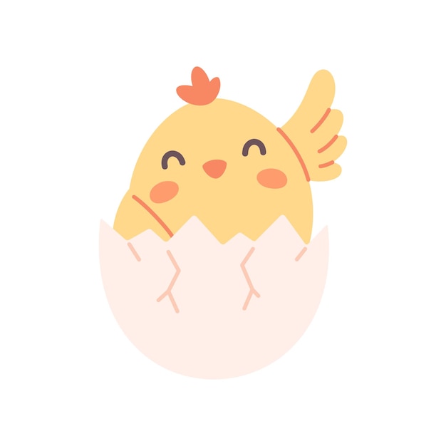 Cute chick in egg shell easter chick springtime farm animal