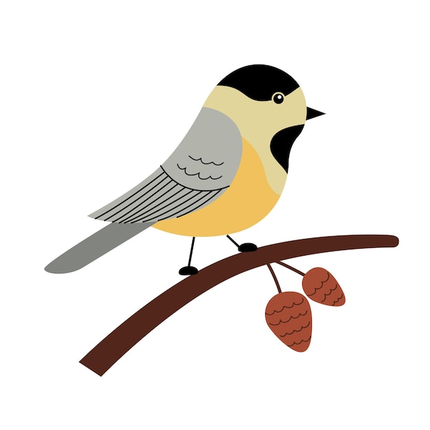 Cute chickadee on a branch with cones Vector illustration in a trendy hand drawn style Perfect for a print postcard or label Stylized character