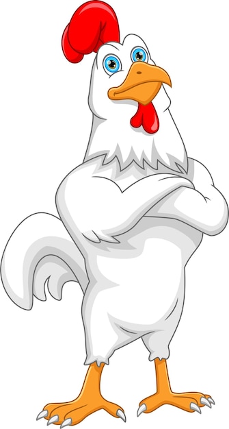 Vector cute chicken cartoon isolated