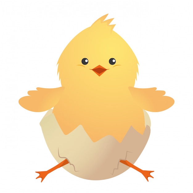 Cute chicken cartoon