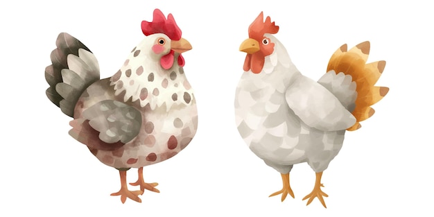 Vector cute chicken soft watercolour vector illustration