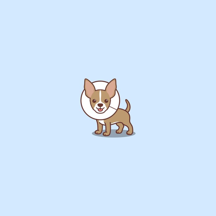 Vector 엘리자베스 칼라 만화 아이콘 벡터 일러스트와 함께 귀여운 치와와 강아지