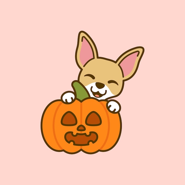 Chihuahua carino con zucca jack o lantern