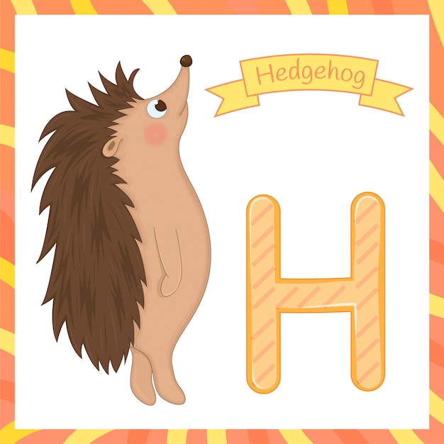 Cute children animal alphabet h letter flashcard of hedgehog