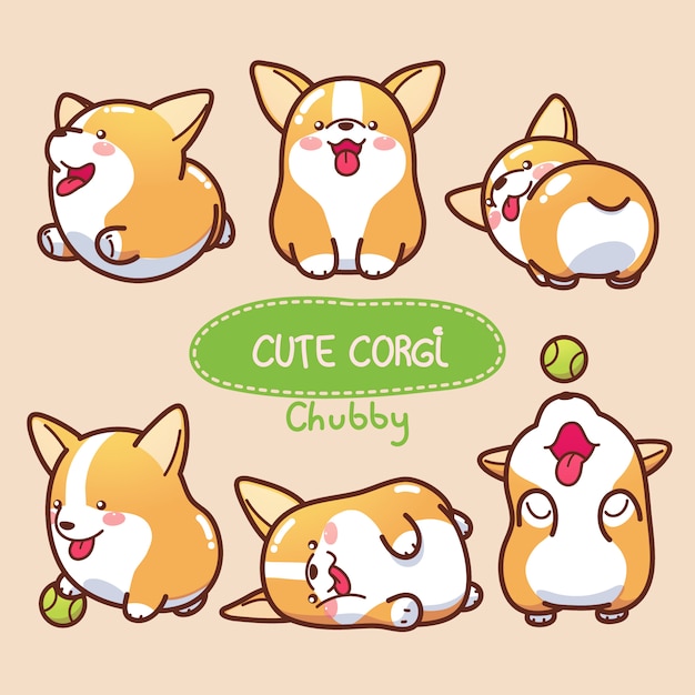 Cute and chubby corgi collection