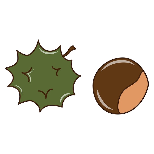 Cute clipart in autumn style with a chestnut