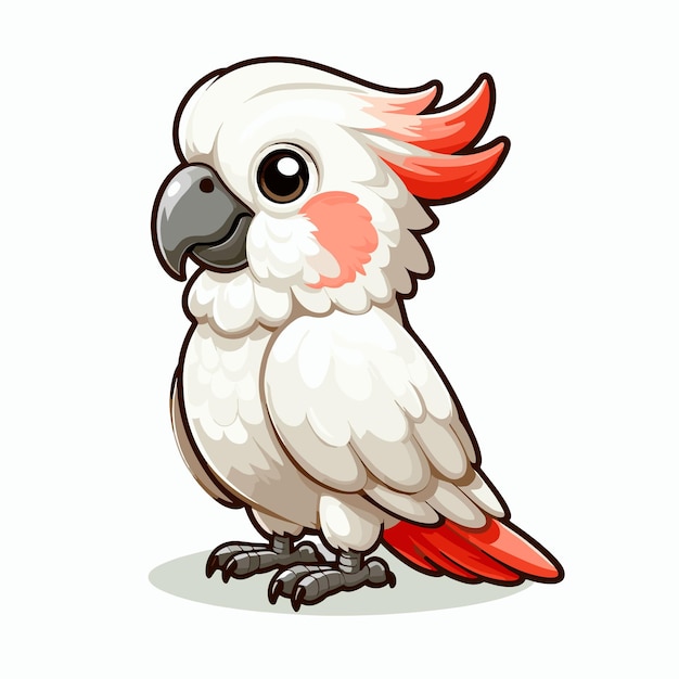 Vector cute cockatoo cartoon vector on white background