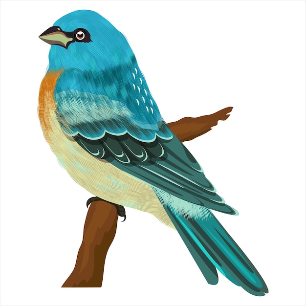 Vector cute colorful bird vector