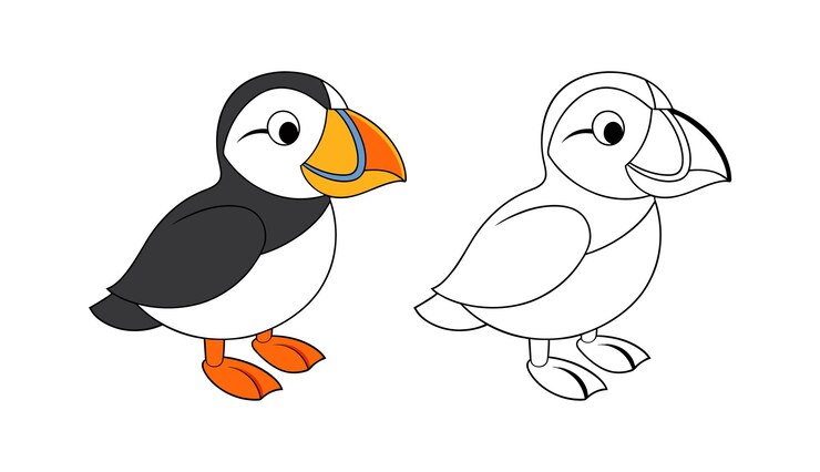 Vector cute colorful cartoon puffin bird illustration