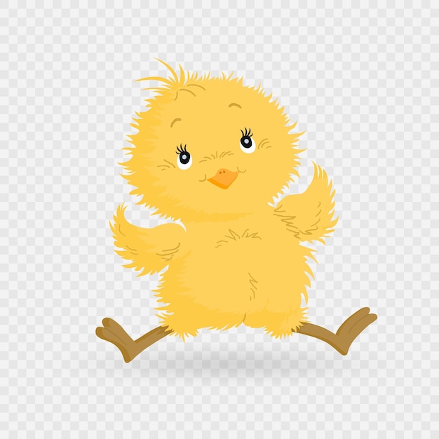 Vector cute colorful easter chicks festive easter symbol vector collection vector on png