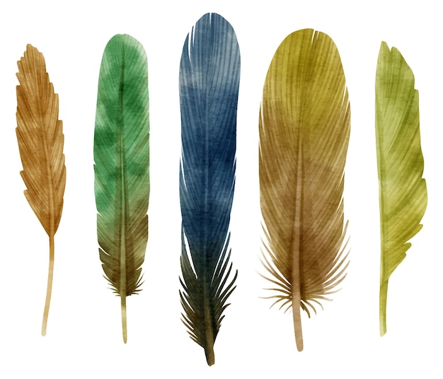 Вектор Симпатичная красочная акварельная иллюстрация перьев для декоративного элемента