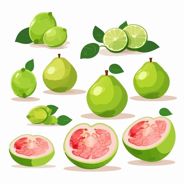 Vector cute and colorful guava stickers for decorating your planner or journal