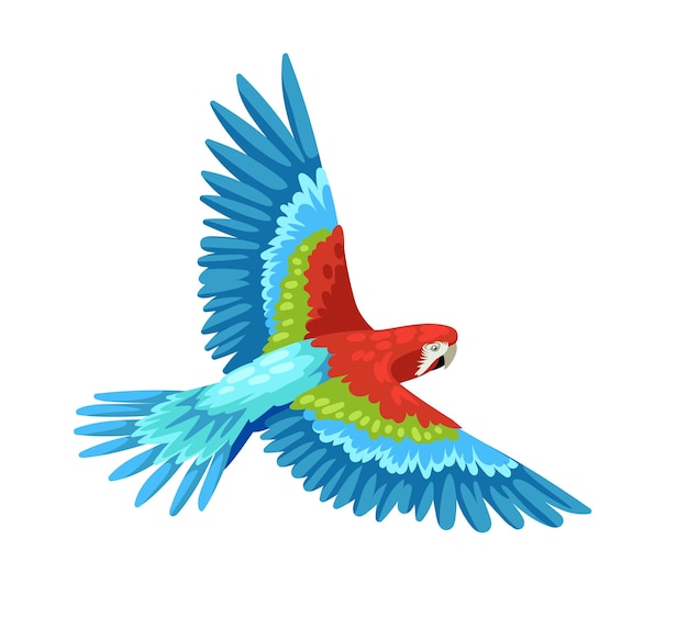 Cute colorful parrot bright bird cute animal with feathers tropical and exotic mammal graphic