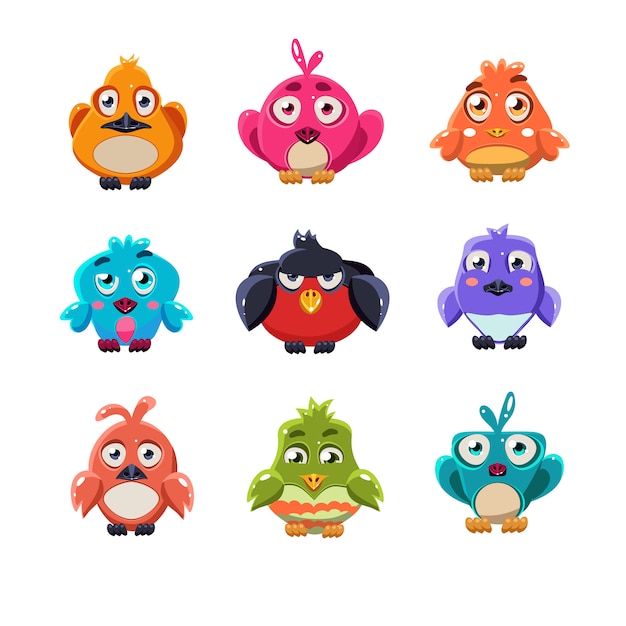 Cute colourful birds illustration set