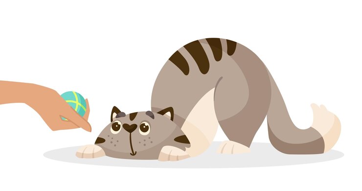 Vector cute comic cat and hand holding ball vector illustration