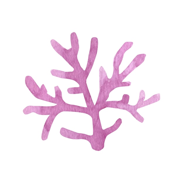 Cute coral summer clipart Hand drawn watercolor illustration