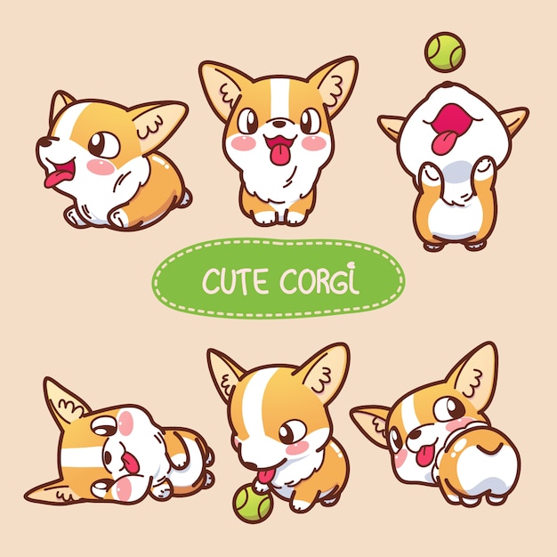 Vector cute corgi collection