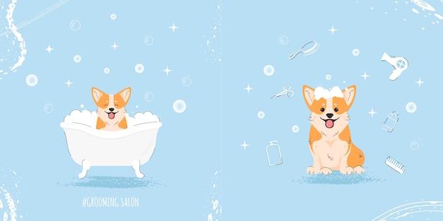 Cute corgi dog in bathtub in flat style Illustration of pet grooming for content banner card Vector