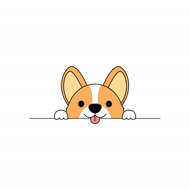 Vector cute corgi dog paws up over white wall